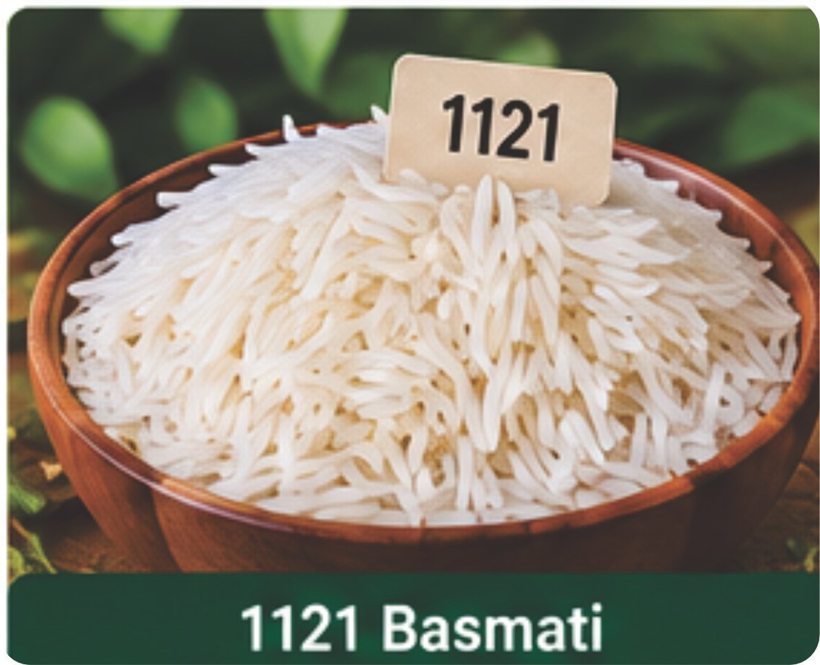 Export Product 2