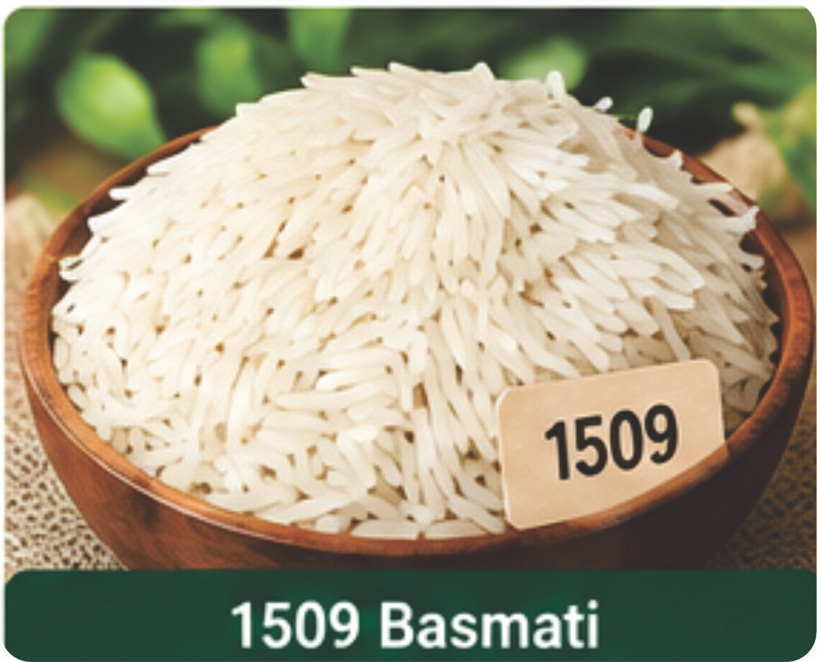 Export Product 3