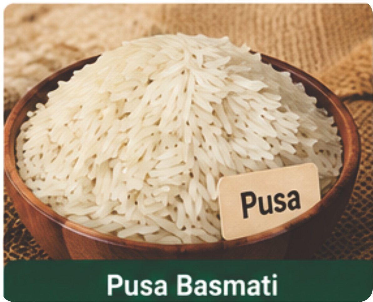 Export Product 4