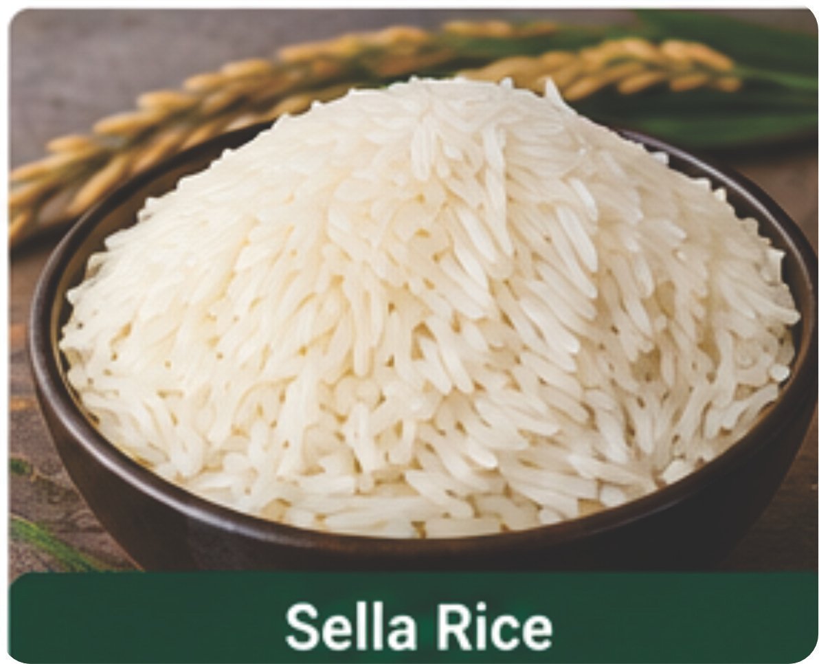 Export Product 5